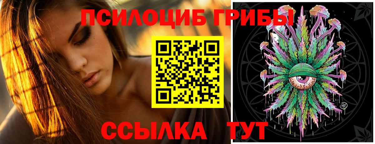 Псилоцибиновые грибы GOLDEN TEACHER  купить наркотики сайты  Протвино  Вход с VPN 